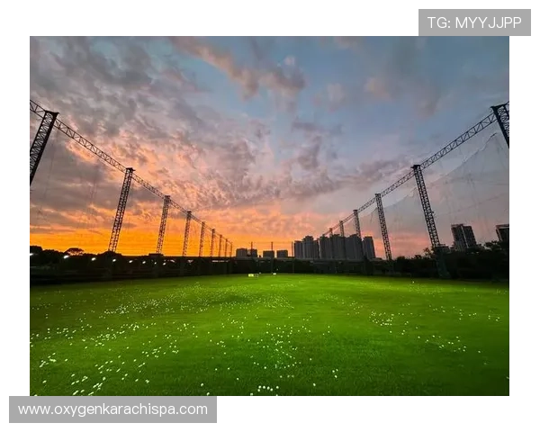 光速体育推动全民健身热潮，数字化平台助力运动普及与推广