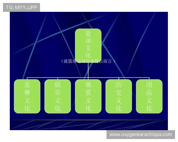 乐竞体育新地址的安全性分析，保障用户个人信息安全与隐私保护