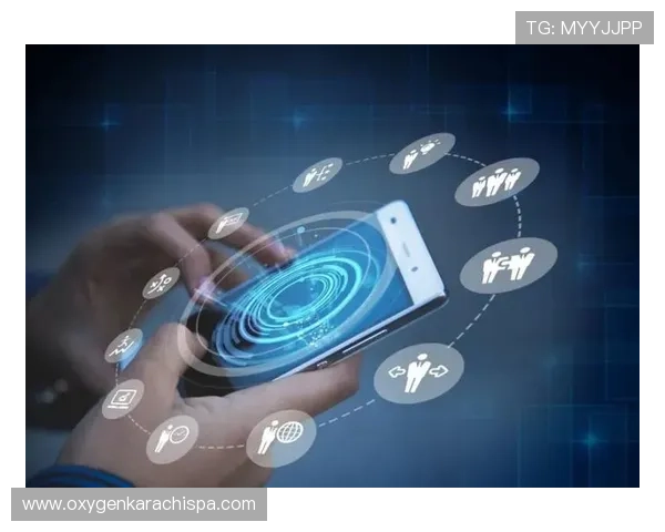 龙8体育安全保障措施详解保障用户账号信息安全与资金安全